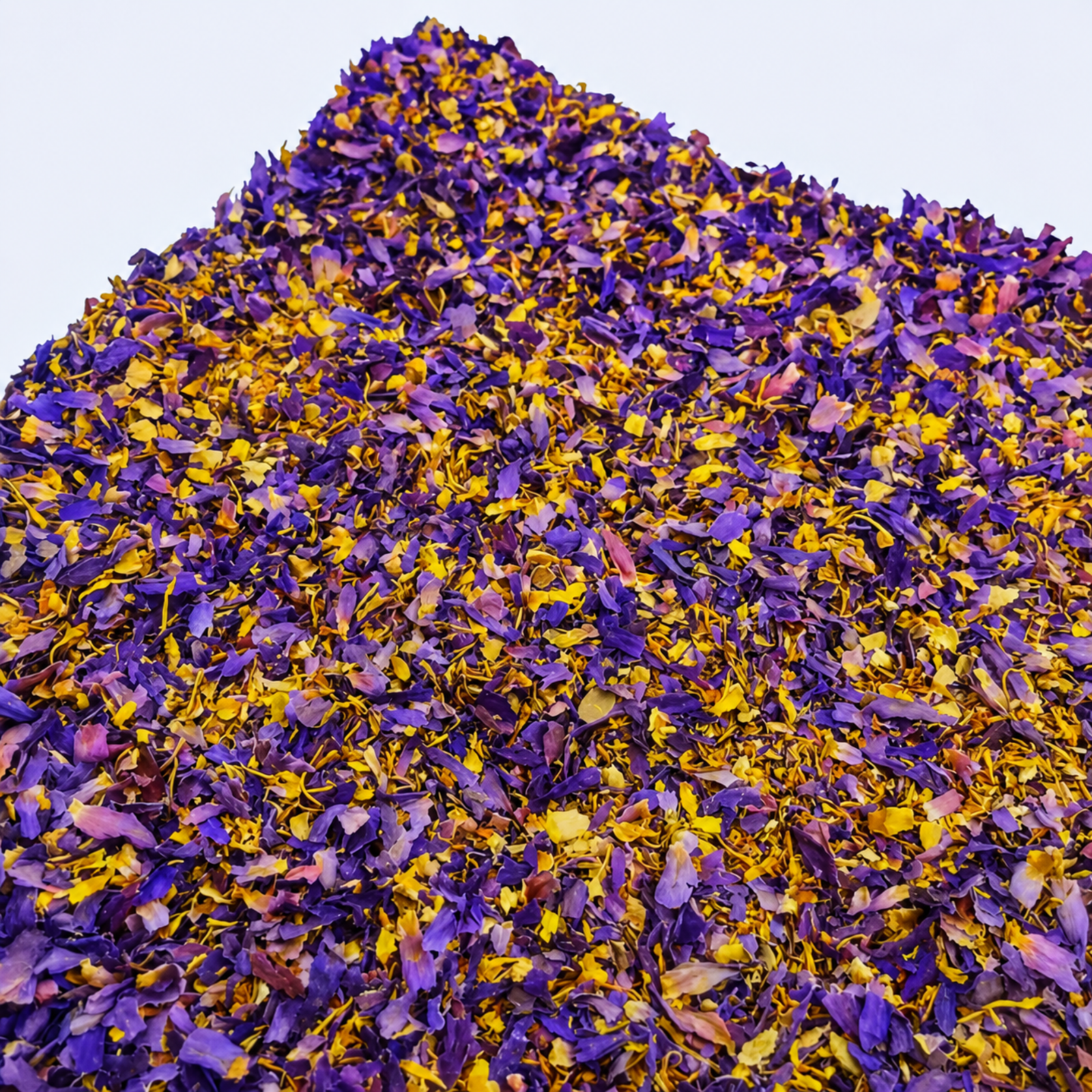 Close-up of dried Egyptian Blue Lotus flower petals